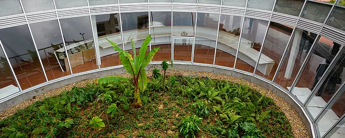 Especial de Construcción Hospital Santa Fé: Cuidado Intensivo